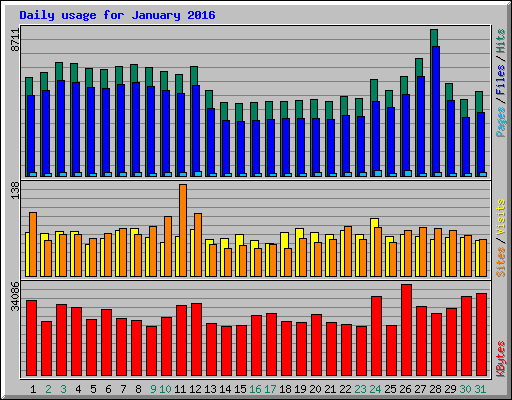 Daily usage for January 2016