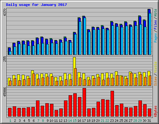 Daily usage for January 2017