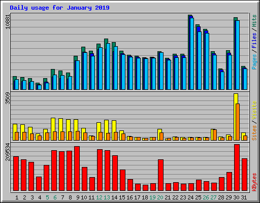 Daily usage for January 2019