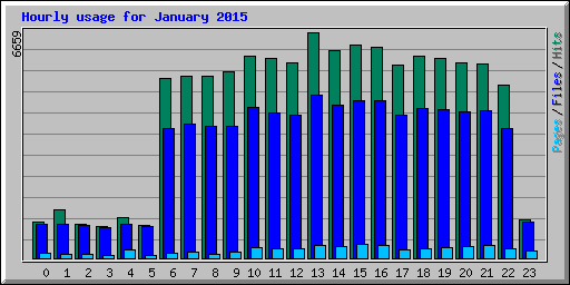 Hourly usage for January 2015