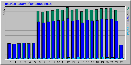 Hourly usage for June 2015