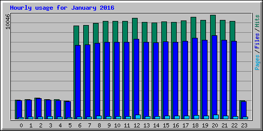 Hourly usage for January 2016