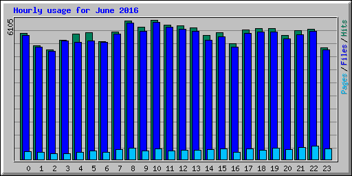 Hourly usage for June 2016