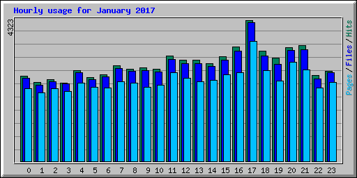 Hourly usage for January 2017