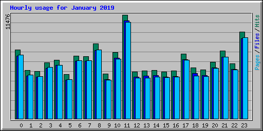 Hourly usage for January 2019