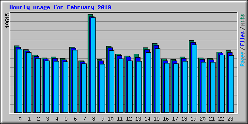 Hourly usage for February 2019