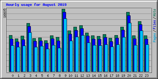 Hourly usage for August 2019