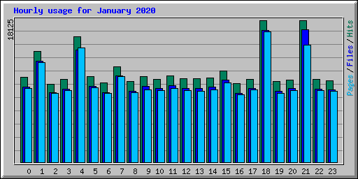 Hourly usage for January 2020