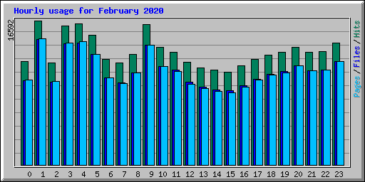 Hourly usage for February 2020